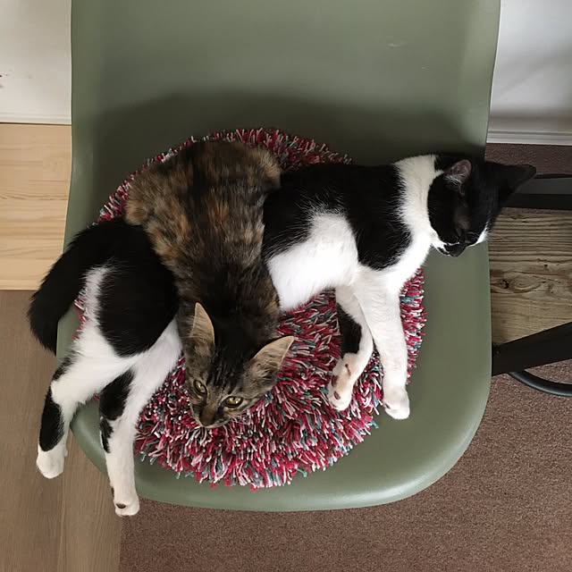 mikomaruさんの実例写真