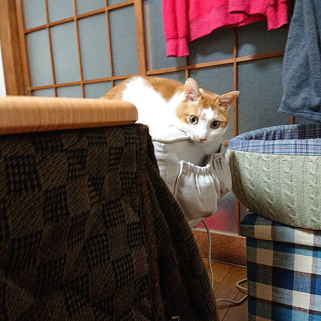 mugi77327732さんの実例写真