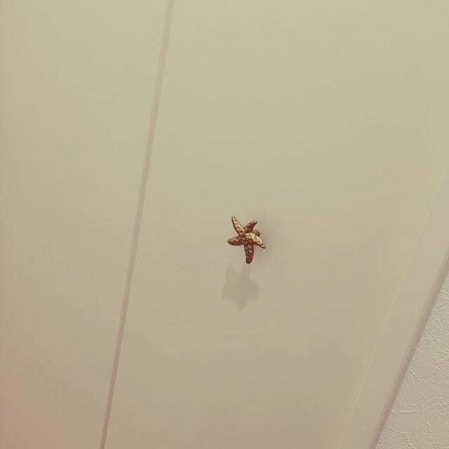 Kailaさんの実例写真