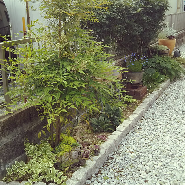chikohiroさんの実例写真