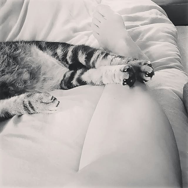 mairin318さんの実例写真
