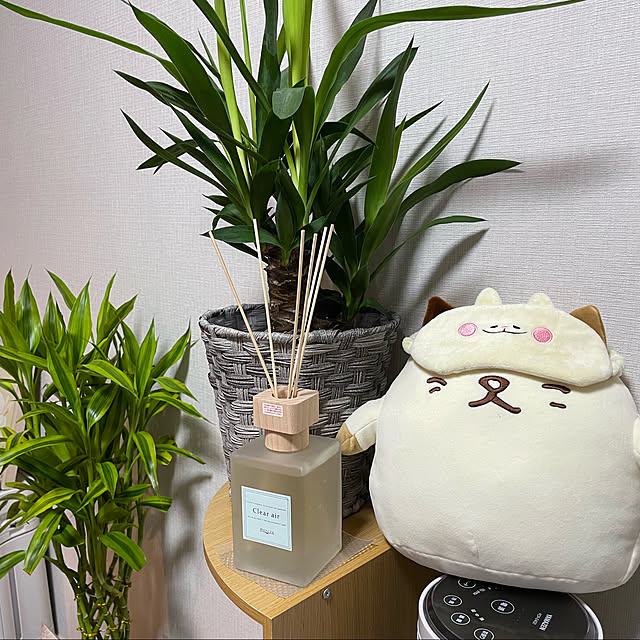 観葉植物のある暮らし/ベッド周りのインテリア実例 - 2022-09-04 12:17:18