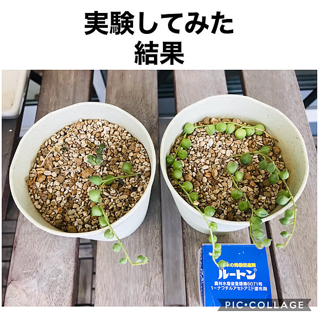 maroさんの実例写真