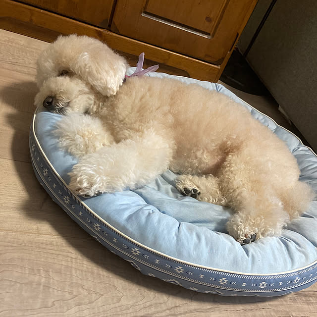 madamkaoriさんの実例写真
