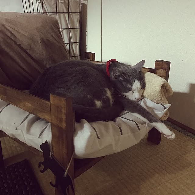 mucc08さんの実例写真