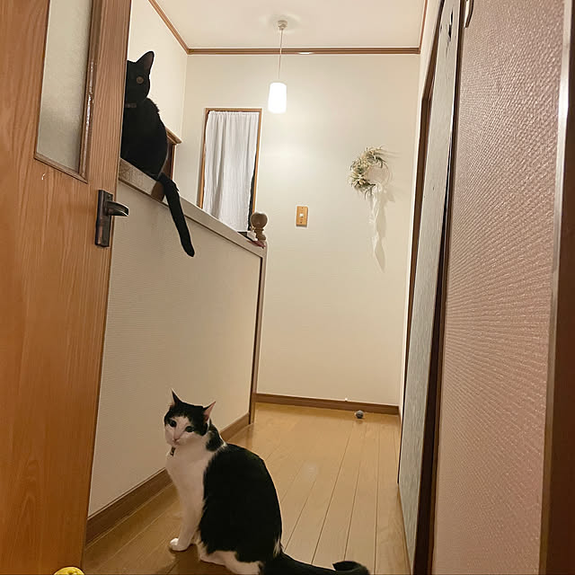 harukaさんの実例写真