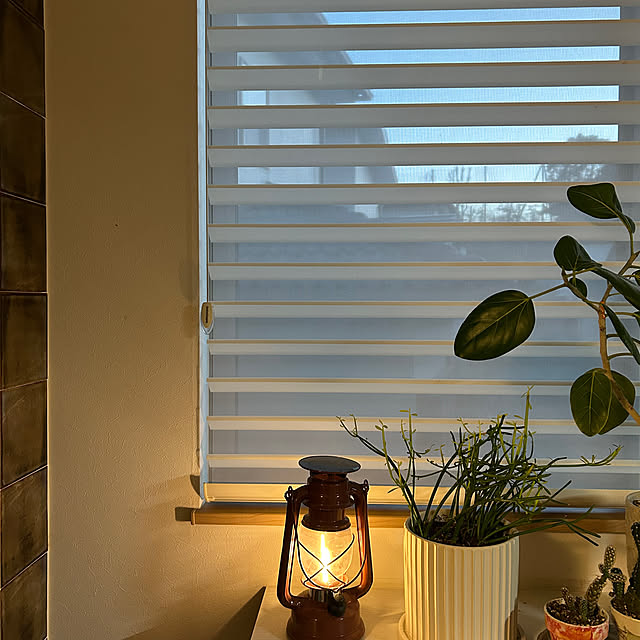 hatsugaさんの実例写真