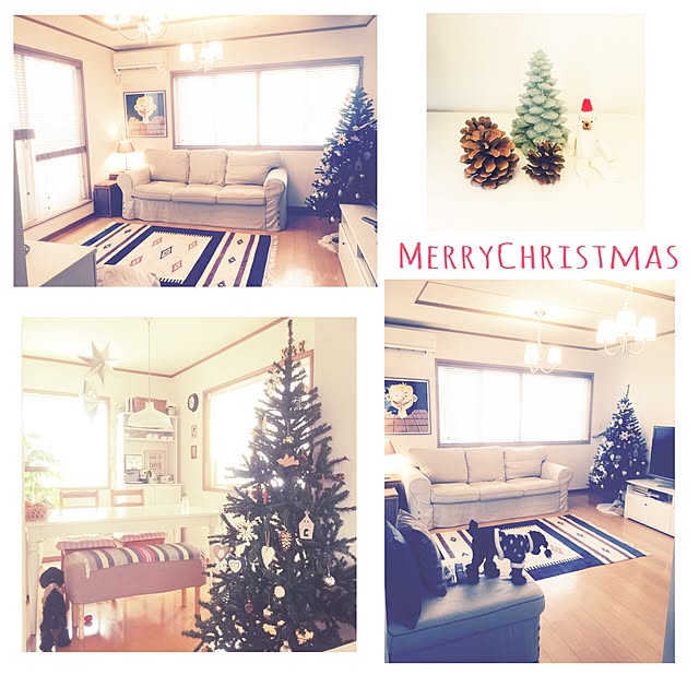 部屋全体/B-COMPANY/クリスマス/犬のいる暮らし/無印良品...などのインテリア実例 - 2015-11-25 11:11:34