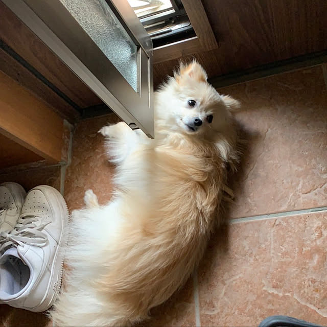 1546さんの実例写真