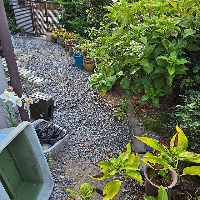 fuchan0930さんの部屋