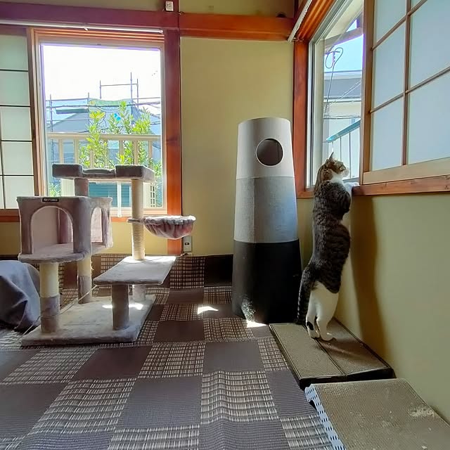 hitomiさんの実例写真