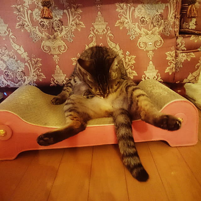 lilyさんの実例写真
