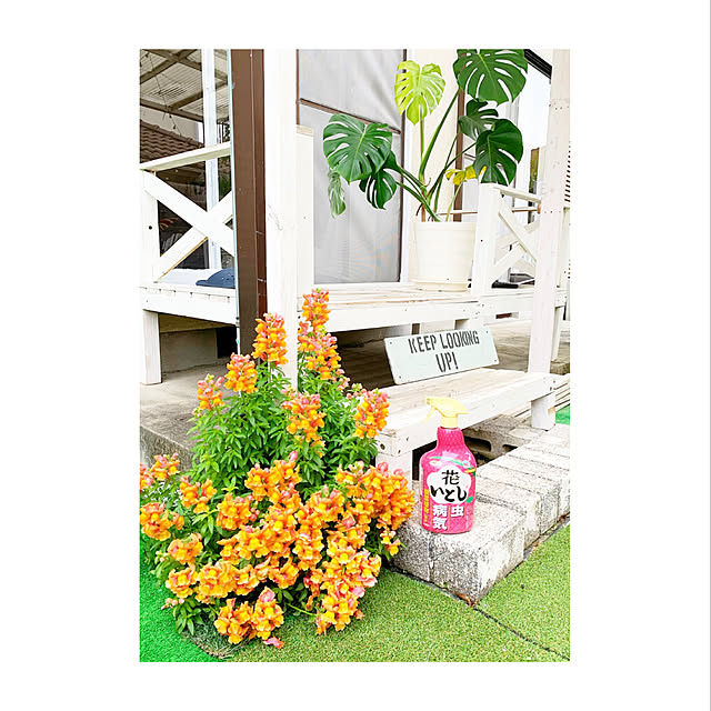 theishiharasさんの実例写真