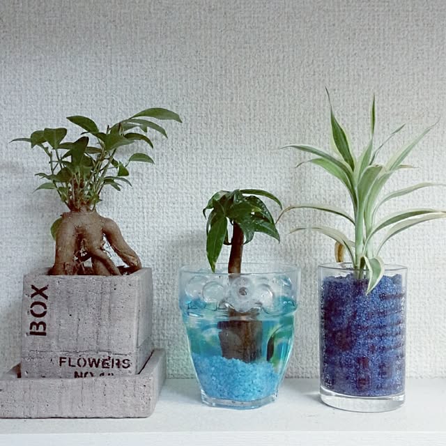 rk5kuuさんの実例写真