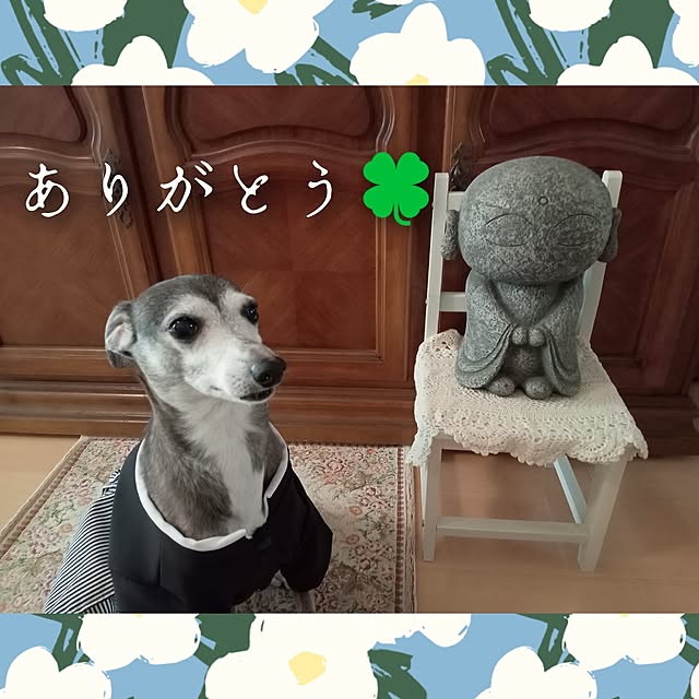 moruさんの部屋