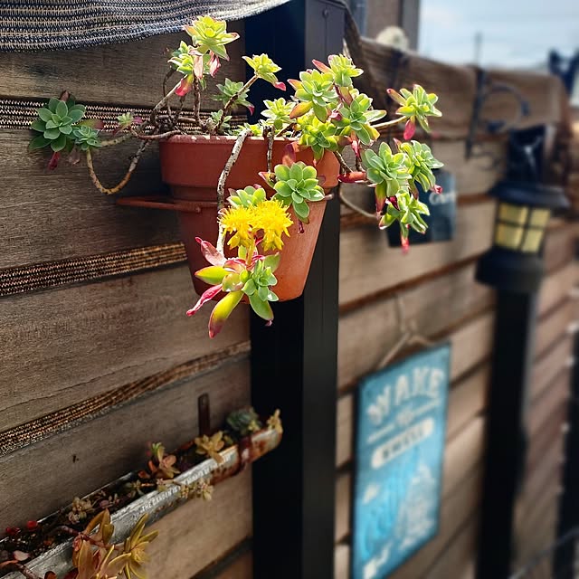 teamoさんの部屋