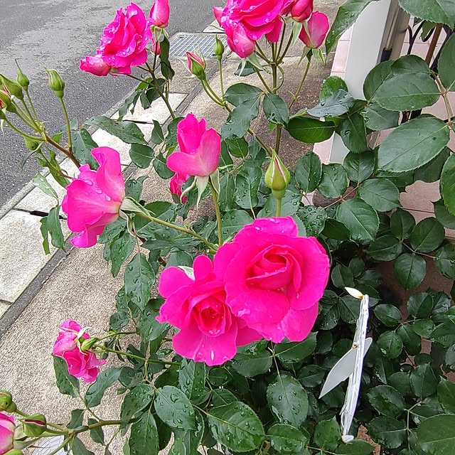 Bienvenueさんの部屋