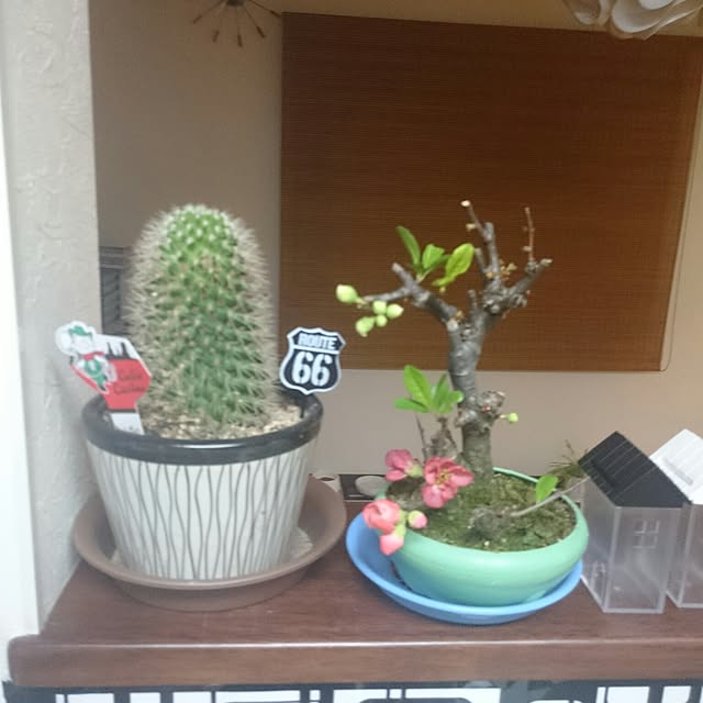 MIHさんの実例写真