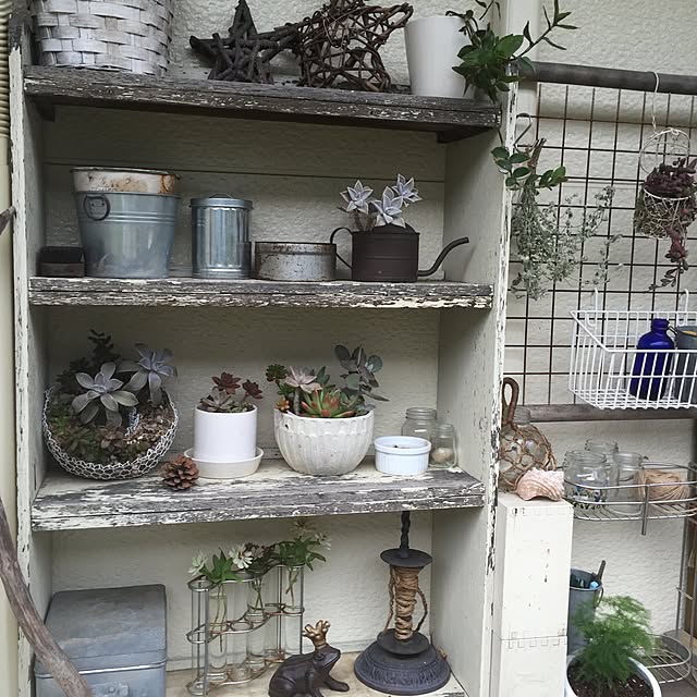 happygardenさんの実例写真
