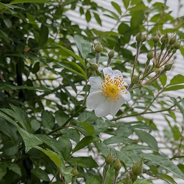 kumijiさんの部屋