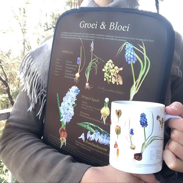 weさんの実例写真