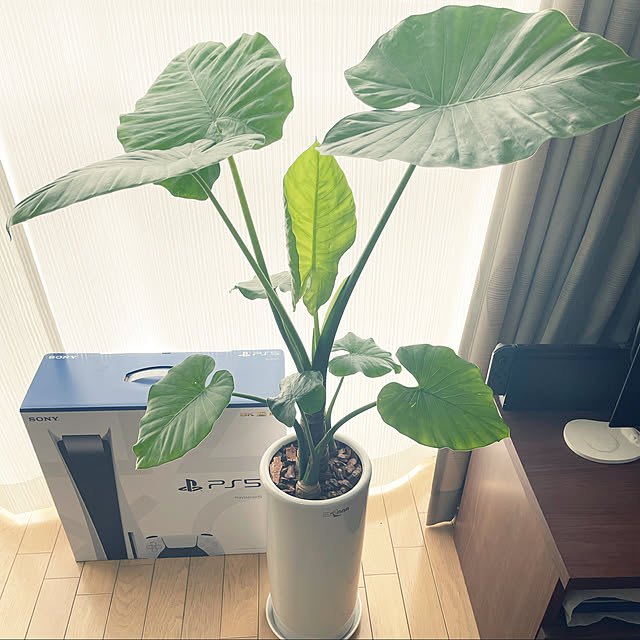 akoさんの実例写真