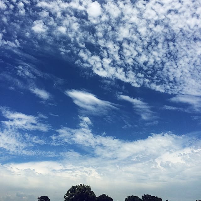 壁/天井/空のインテリア実例 - 2015-07-15 13:45:41