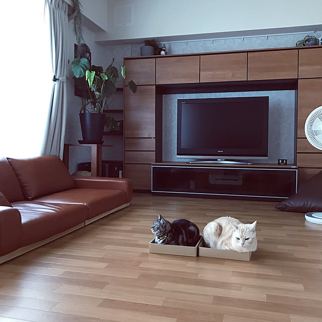 hiyupan88さんの実例写真