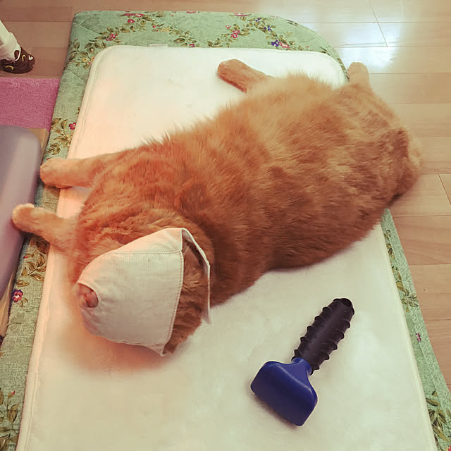 pinaminさんの実例写真