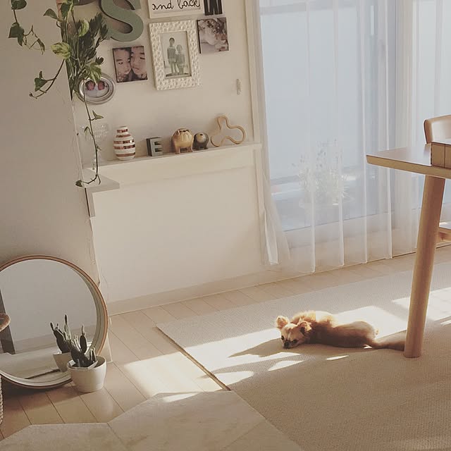 haruhinaさんの実例写真