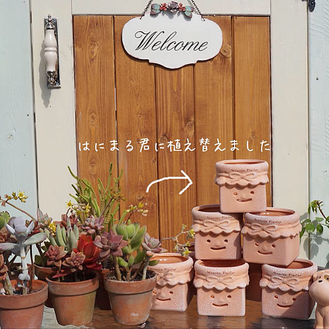 r_6cafeさんの実例写真