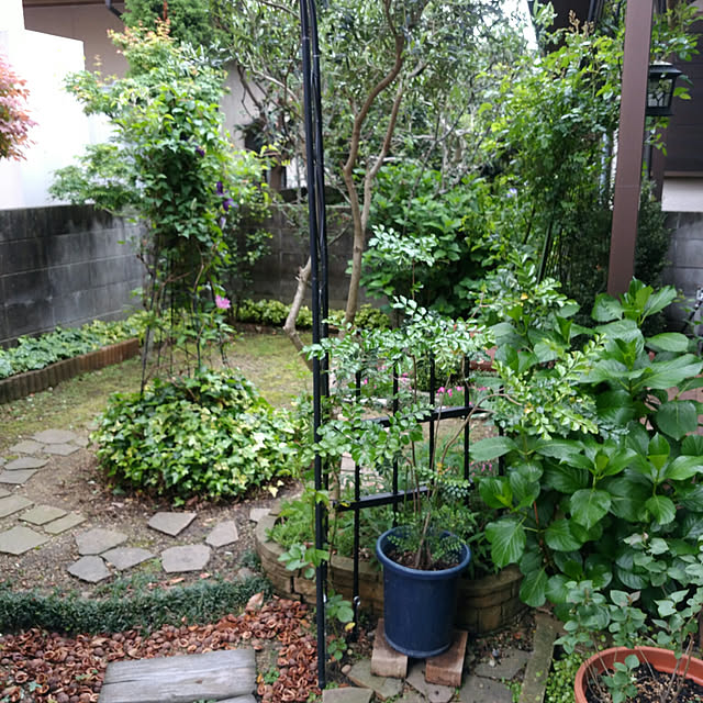 rassesachi.1231さんの実例写真