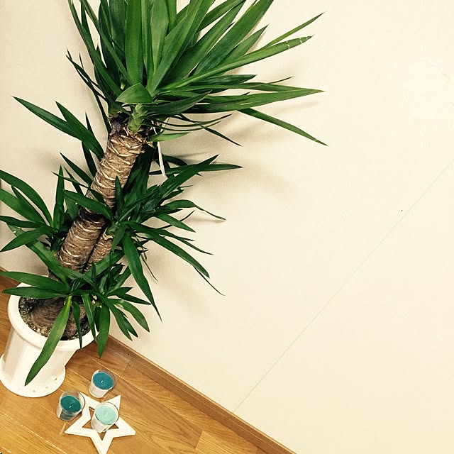 Eriさんの実例写真