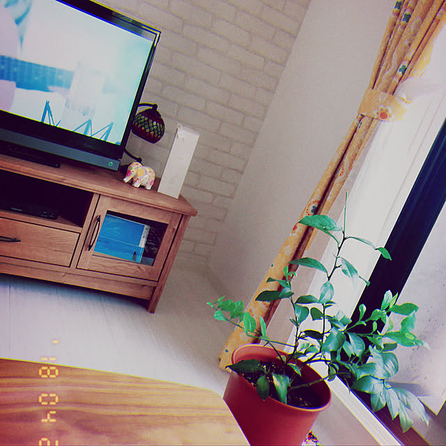haruさんの実例写真