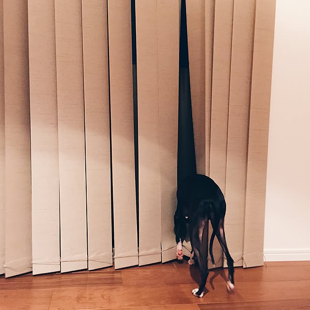 watakurumiさんの実例写真