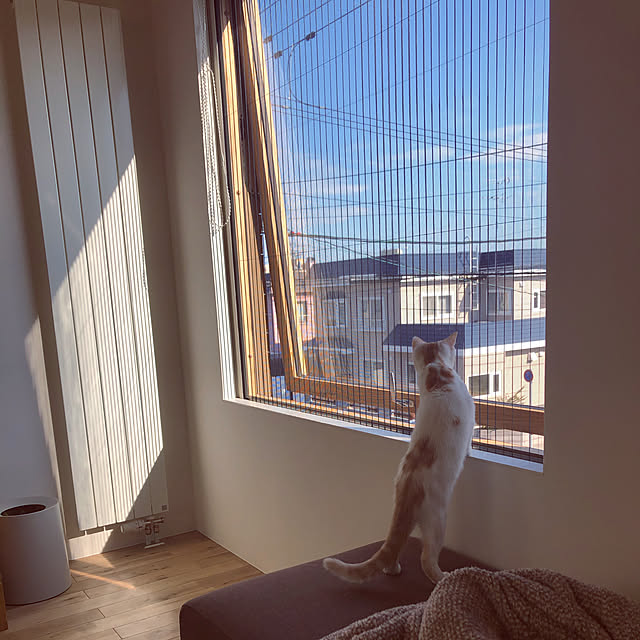 makimakiさんの実例写真