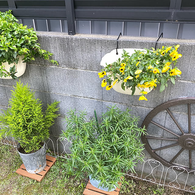 YuuKoさんの実例写真