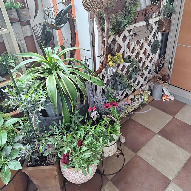 hiro3さんの部屋