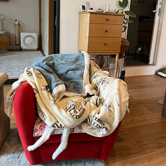 hanaさんの実例写真