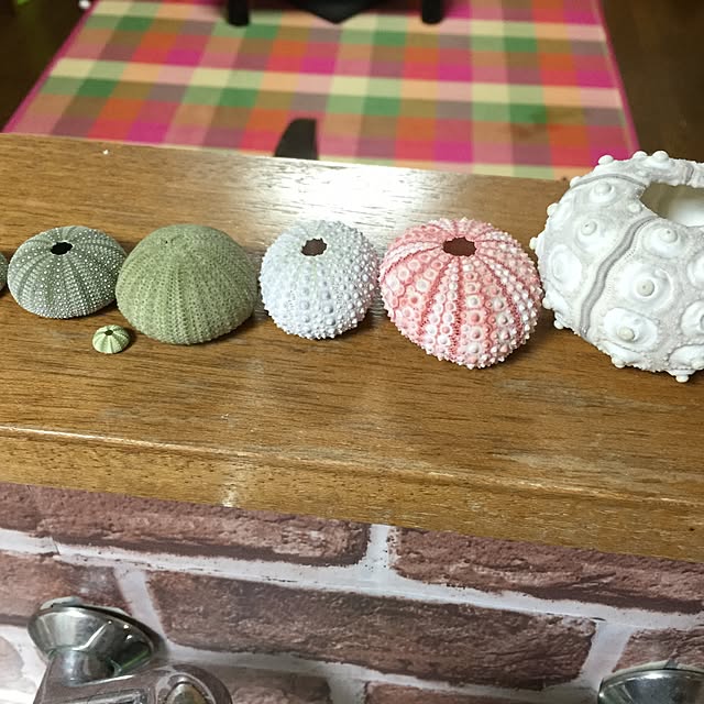 enaena15さんの実例写真