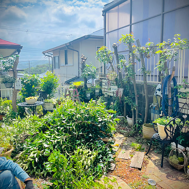 burgundy.roseさんの部屋