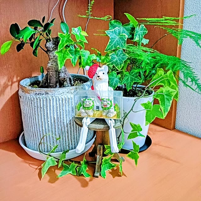 hanachanさんの実例写真
