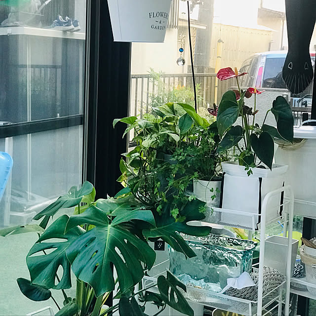 Masakoさんの実例写真