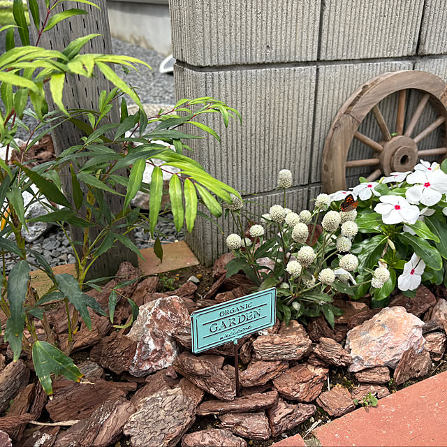 Haruさんの部屋