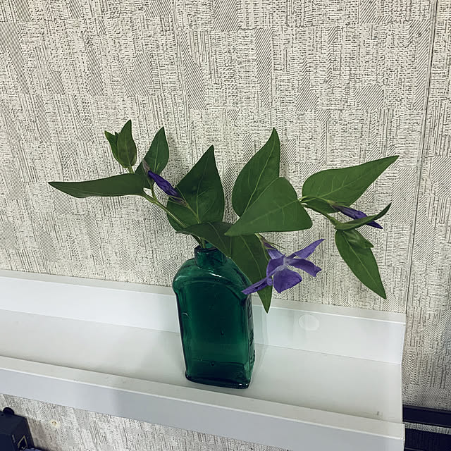 sakakenさんの実例写真