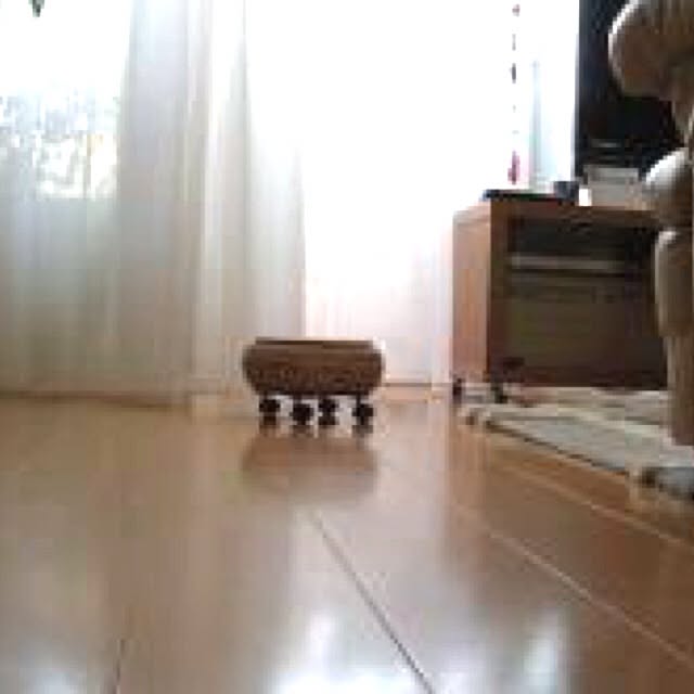 ricoさんの実例写真