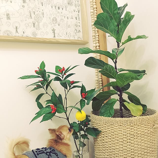 haruhinaさんの実例写真