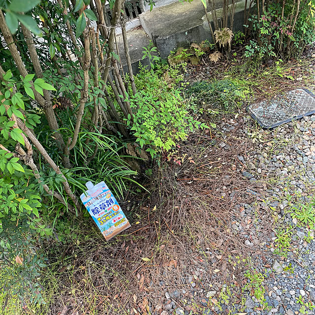 burubonさんの部屋