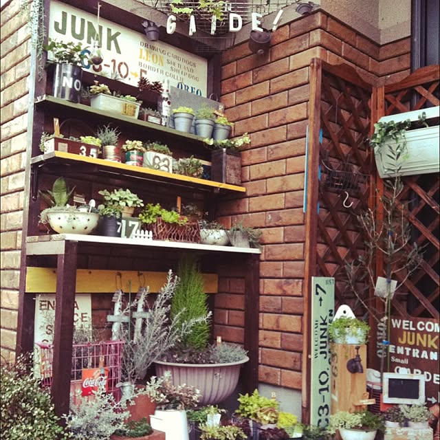 mintさんの実例写真