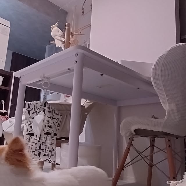 toratanさんの実例写真